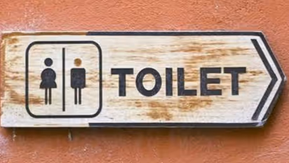 European style toilets