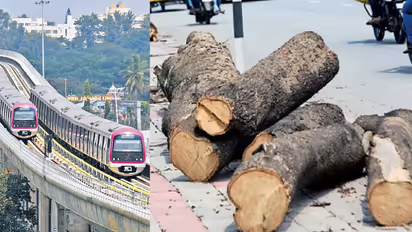 CAG Audit Flags Missing Records of BMRCL's Compensatory Saplings