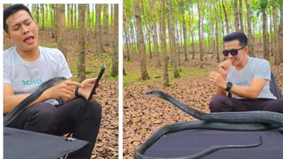 viral video of snake dancing explained