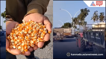 Haveri Farmers Protest Over Fraud at Govt Maize Procurement Centre