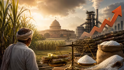 Sugar Price Explained Who Decides Sugar Prices Government Farmers or Sugar Mills