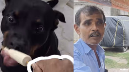 Jaipur kulfi seller for dogs