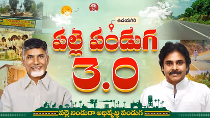 Palle Panduga 3.0
