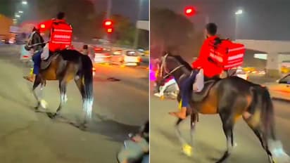 Zomato-delivery-boy-deliver-food-on-horse