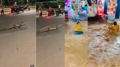 Man Swept Away by Floodwaters  Crocodile Spotted on road
