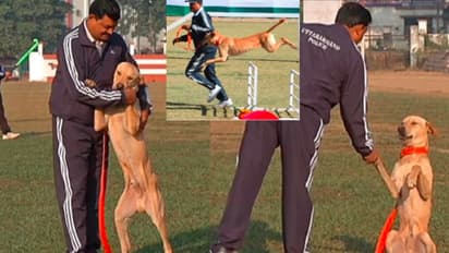 Street Dog Becomes Rising Star of Uttarakhand Police Force