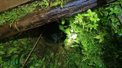 87 year old women rescued from 30 feet weel 