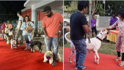 chennai dog show