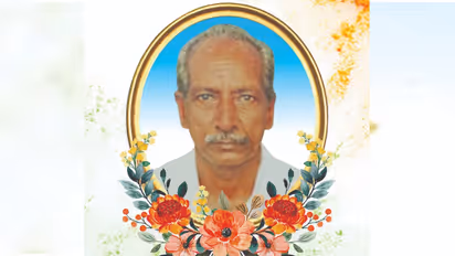 elephant attack death