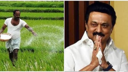 Tamilnadu agriculture