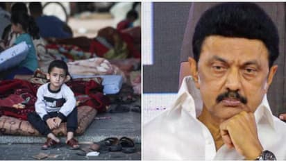 MK Stalin on Gaza war