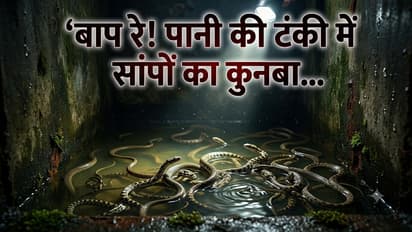 haridwar water tank 27 snake babies rescue uttarakhand snake incident forest officials