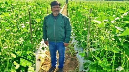 farmer