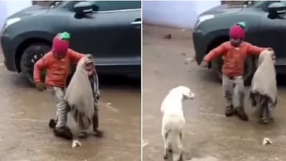 Little Boy Shields Sister From Rain, Chases Away Dog