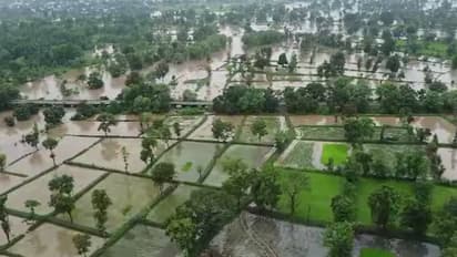 Vidarbha Heavy Rain Update 