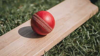 cricket bat ball