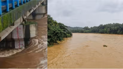 chaliyar river