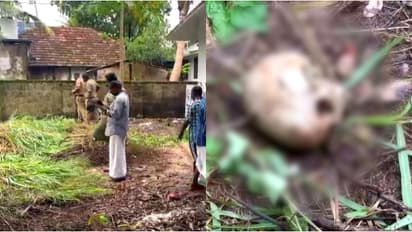 human skull found in kochi