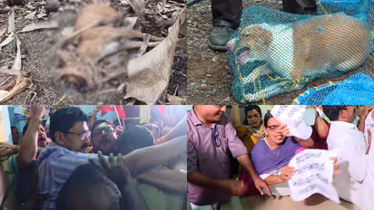 kannur stray dog menance