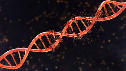 World Thalassemia Day