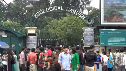 alipore zoo