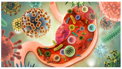 gut health