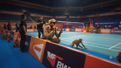 Langur Impersonators at BWF World Championships