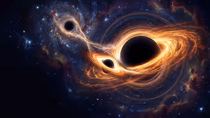 Black Holes