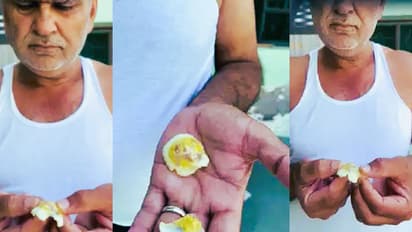 Fake and Chinese Eggs