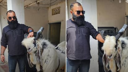 India most expensive goat