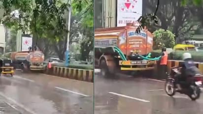 WATCH Viral Video: Pune Civic Workers Water Roadside Plants In Heavy Rain, Internet Asks 'Why?'