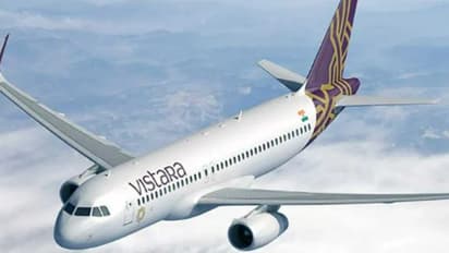 vistara airline