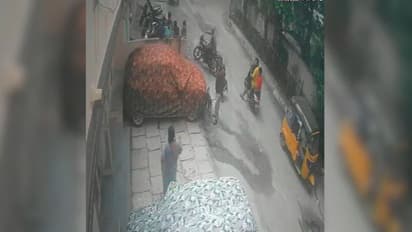 Neighbor fight over dog peeing infront of home