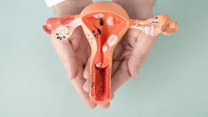 Why Vaginal Yeast Infections Increase During The Monsoon Season