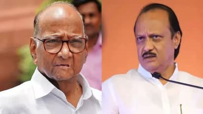 ajit pawar sharad pawar
