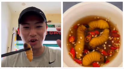 worm