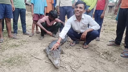 Aligarh Villagers Surround Crocodile, Touch It And Even Lift It With Bare Hands After It Enters Village
