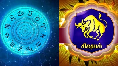 rasi palan rishaba rasi