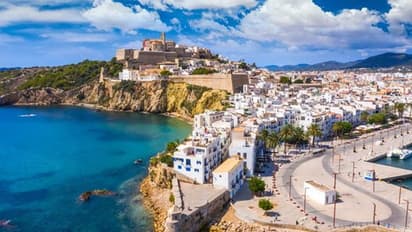 spain, ibiza, venomous spider, trending news, weird news, ajab gajab, horror crime, interesting news