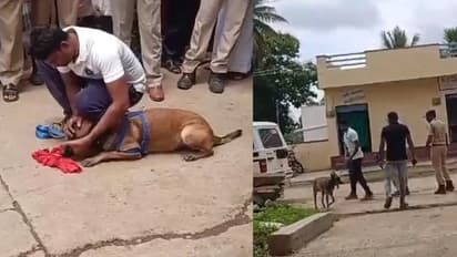 Andhra Pradesh nandyala rape