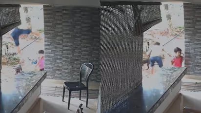 dog attack