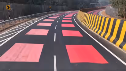 Red Roads Make Animal Crossings Safer