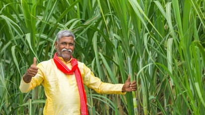 UP hikes sugarcane price