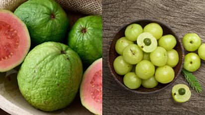 amla vs guava
