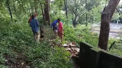 forest station attack