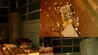 ಪ್ಲಾಸ್ಟಿಕ್ ಮೊಟ್ಟೆ ಸಾಗಿಸುತ್ತಿದ್ದ ಟೆಂಪೋ ಮೇಲೆ ದಾಳಿ ನಡೆಸಿ ಮೊಟ್ಟೆಗಳನ್ನು ನಾಶಪಡಿಸಿದ ಸಾರ್ವಜನಿಕರು