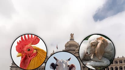 Karnataka Assembly not only discussing cows but chicken and sheep too!