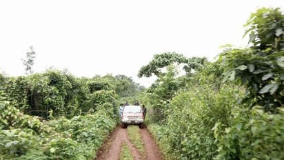 దట్టమైన చాపరాయి అడవుల్లో జగన్ ప్రయాణం