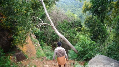അരുവിപ്പുറം