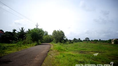 ചീമേനി ശൂലാപ്പ് കാവ്